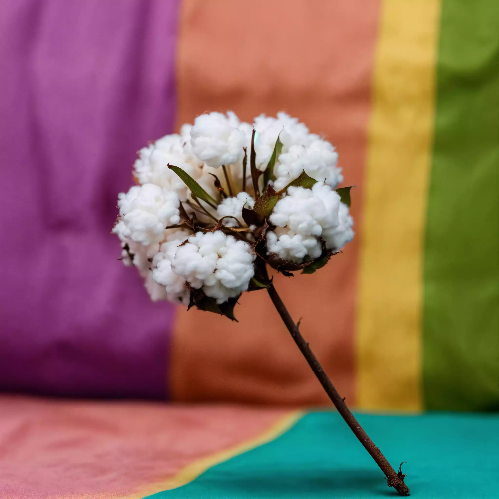 Wandkunst gemaakt van gerecycled papier en natuurlijke kleurstoffen